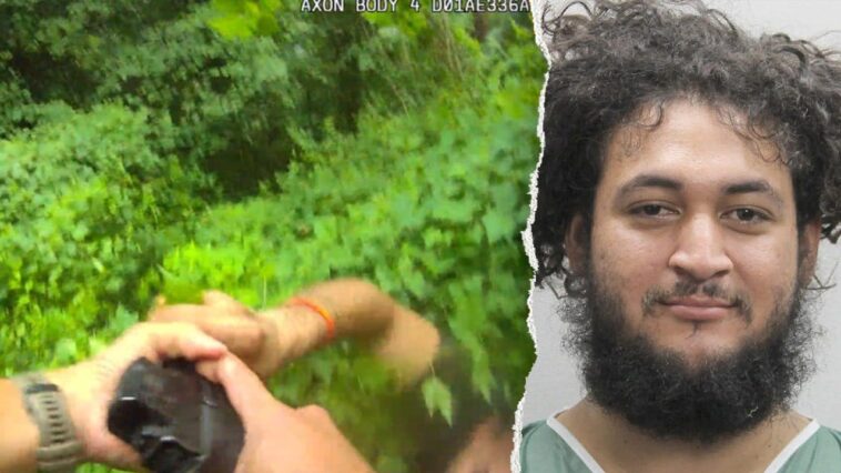 ice-lodges-detainer-for-illegal-immigrant-accused-of-trying-to-disarm-virginia-police-officer
