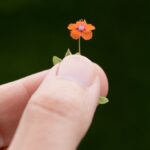 bright-side:-the-unexpected-trend-making-people-smile
