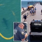 nypd-deploys-drones-to-track-sharks-after-rise-in-sightings-off-nyc-beaches