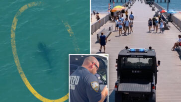 nypd-deploys-drones-to-track-sharks-after-rise-in-sightings-off-nyc-beaches
