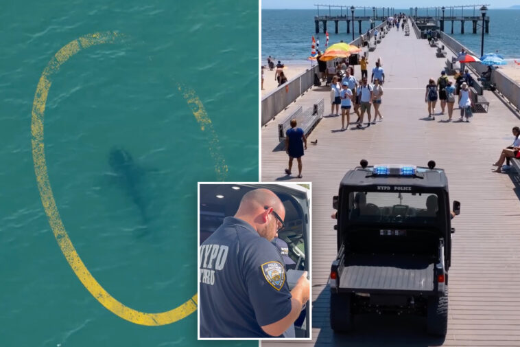nypd-deploys-drones-to-track-sharks-after-rise-in-sightings-off-nyc-beaches