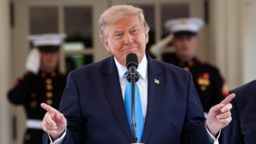 army-veteran-raves-over-trump’s-plan-to-ditch-illegal-alien-truck-drivers-and-hire-vets