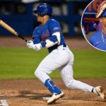 top-prospect-mitch-voit-already-making-strides-mets-are-hoping-for