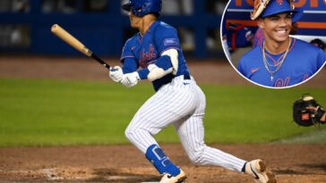 top-prospect-mitch-voit-already-making-strides-mets-are-hoping-for