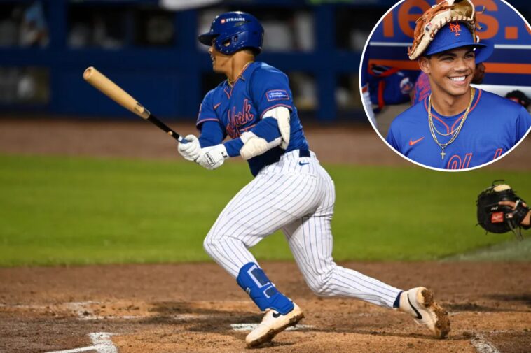 top-prospect-mitch-voit-already-making-strides-mets-are-hoping-for
