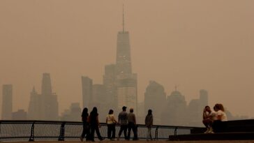 blame-canada’s-terrible-regulations-for-wildfires-ruining-america’s-summer