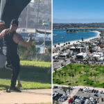 fists-fly-as-two-men-and-their-dogs-brawl-at-popular-san-diego-tourist-destination-in-wild-video