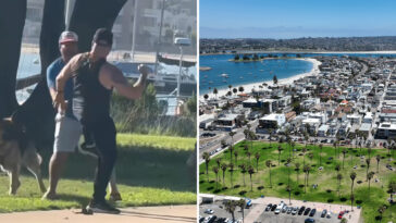 fists-fly-as-two-men-and-their-dogs-brawl-at-popular-san-diego-tourist-destination-in-wild-video
