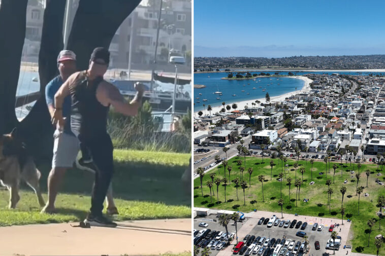 fists-fly-as-two-men-and-their-dogs-brawl-at-popular-san-diego-tourist-destination-in-wild-video