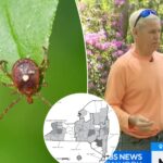 what-is-bourbon-disease?-all-about-the-rare-illness-with-no-cure-diagnosed-on-long-island