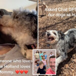 harrowing-details-emerge-of-pets-killed-in-michigan-murder-suicide-home-where-family-of-8-was-found-dead