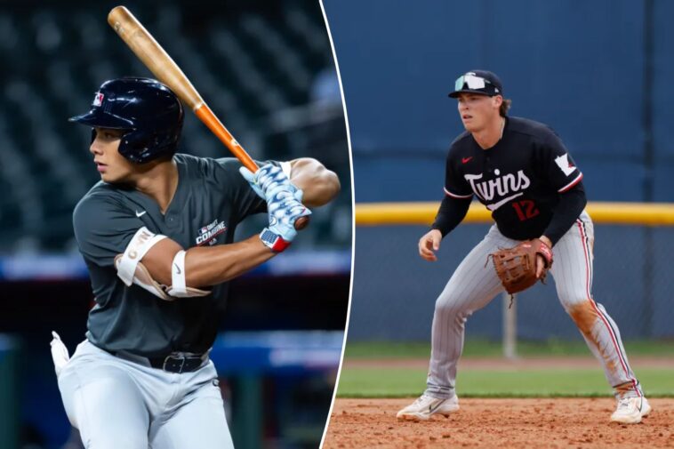 meet-the-mets’-newest-prospects-bruin-agbayani-and-billy-amick-with-fire-sale-underway
