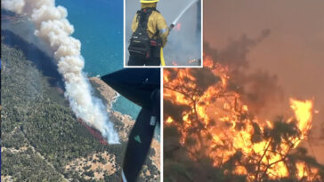 wine-country-‘woodside-fire’-torches-landscape-and-forces-evacuations