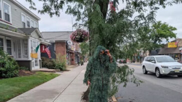 video:-cop-disguises-himself-as-a-shrub-to-nab-more-than-70-drivers-distracted-on-their-phones