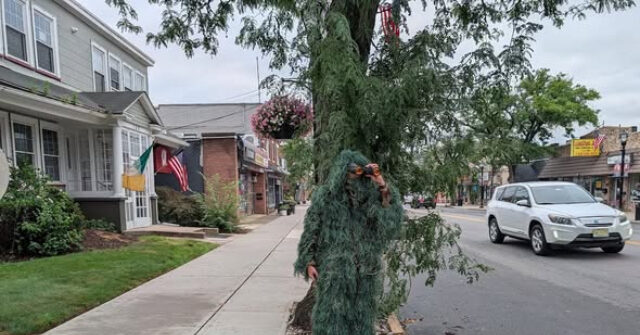 video:-cop-disguises-himself-as-a-shrub-to-nab-more-than-70-drivers-distracted-on-their-phones