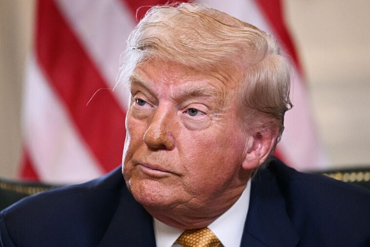 trump-admin-eyes-government-stakes-in-7-more-companies