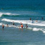 shark-week-advisory-as-warming-seas-push-blacktips-farther-north-along-east-coast