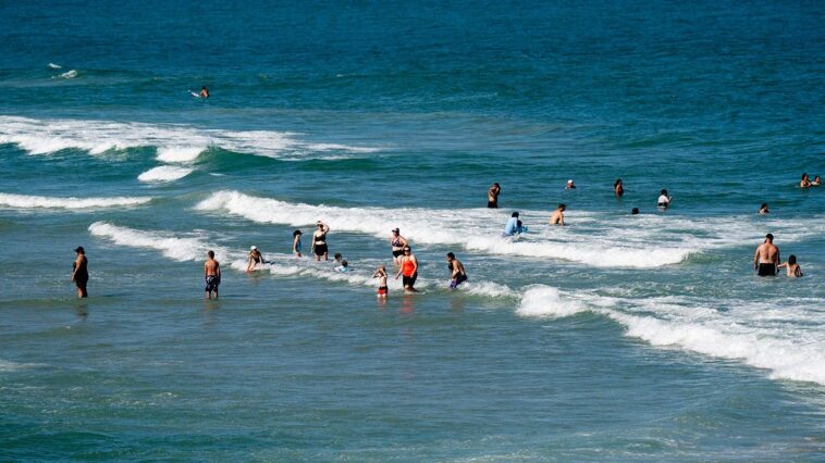 shark-week-advisory-as-warming-seas-push-blacktips-farther-north-along-east-coast
