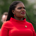 ex-‘squad’-member-fights-for-comeback-as-socialist-wing-ramps-up-war-on-dem-establishment