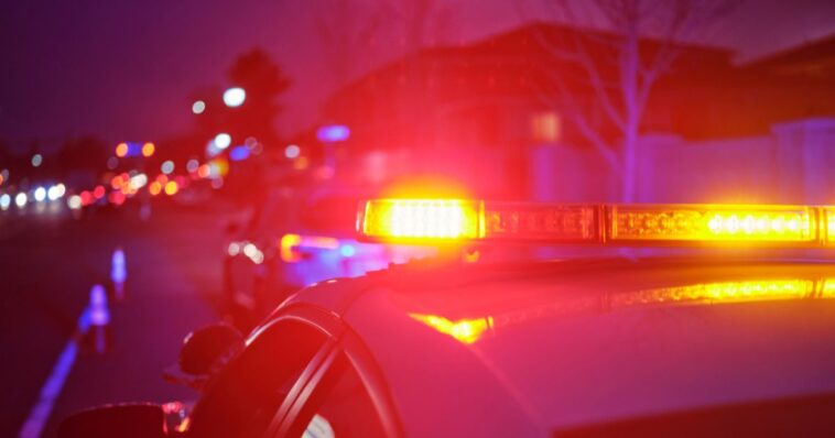 illegal-alien-allegedly-attacks-police-officer-and-tries-to-steal-his-gun