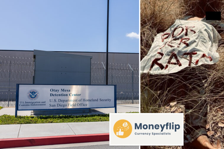 california-ceo-entangled-in-cross-border-hitman-plot-—-as-chilling-crime-scene-images-emerge