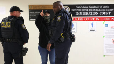 ice-calls-for-fine-of-$470k-against-immigration-attorney-for-alleged-false-filings
