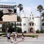 woke-california-college-students-force-school-to-cut-ties-with-border-patrol