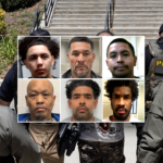 first-on-fox:-dhs-points-to-‘common-sense’-reason-for-collapsing-crime:-‘no-surprise’