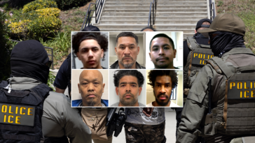 first-on-fox:-dhs-points-to-‘common-sense’-reason-for-collapsing-crime:-‘no-surprise’