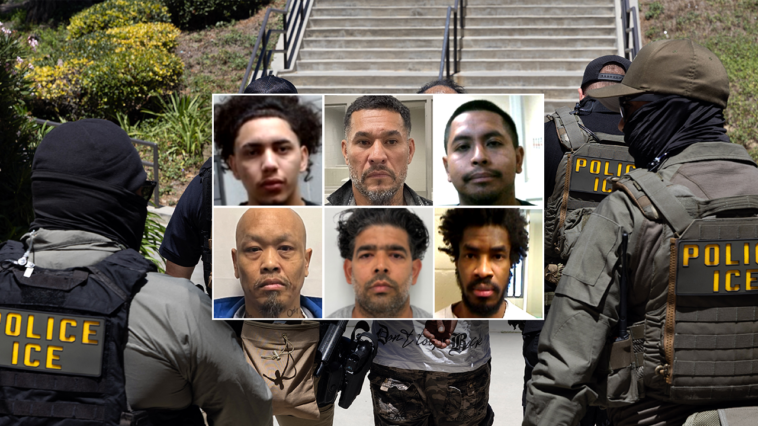 first-on-fox:-dhs-points-to-‘common-sense’-reason-for-collapsing-crime:-‘no-surprise’