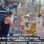 o’keefe-media-group-drops-part-2-nyc-fraud:-nyc-bodegas-caught-selling-alcohol-using-snap-and-ebt-benefits-(video)