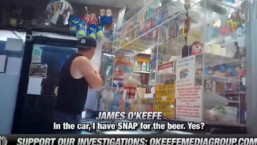 o’keefe-media-group-drops-part-2-nyc-fraud:-nyc-bodegas-caught-selling-alcohol-using-snap-and-ebt-benefits-(video)