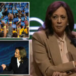 kamala-harris-teases-potential-2028-platform:-‘i-know-this-is-going-to-be-controversial’ 
