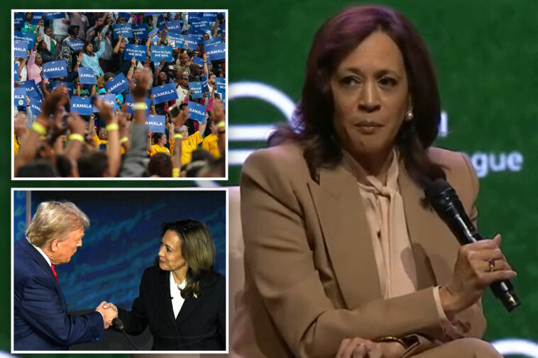 kamala-harris-teases-potential-2028-platform:-‘i-know-this-is-going-to-be-controversial’