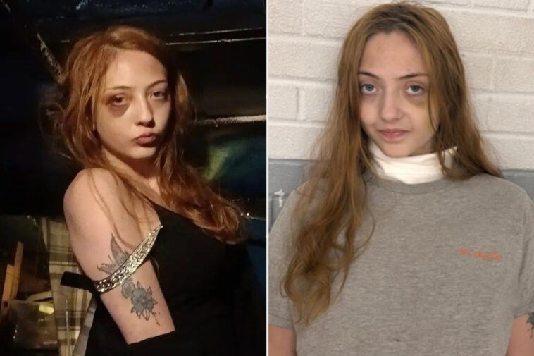 daughter-warned-her-house-was-going-to-become-‘murder-scene’-—-then-stabbed-her-dad-to-death:-report