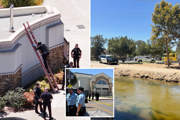 california-city-rocked-by-pair-of-strange-deaths-as-bodies-discovered-high-and-low