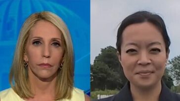 cnn’s-bash-to francesca-hong:-you’re-not-giving-clear-answer-on-defund-the-police
