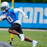 the-madman’s-dvq-is-back-—-and-ai-optimized-for-your-fantasy-football-draft