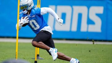 the-madman’s-dvq-is-back-—-and-ai-optimized-for-your-fantasy-football-draft