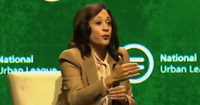 dolt-kamala-harris-promises-to-destroy-america-if-elected-–-including-expanding-scotus,-dump-the-electoral-college,-give-dc-and-puerto-rico-statehood-(video)