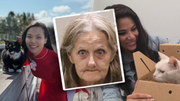 florida-mail-carrier-accused-of-snatching-pets-on-route,-trapping-100-plus-cats-and-dogs-in-‘hoarding’-house