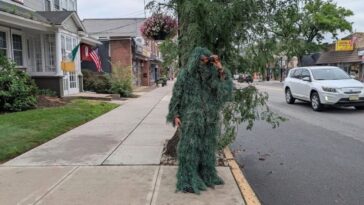 new-jersey-cop-dresses-up-like-a-shrub-and-busts-74-drivers-violating-cellphone-laws