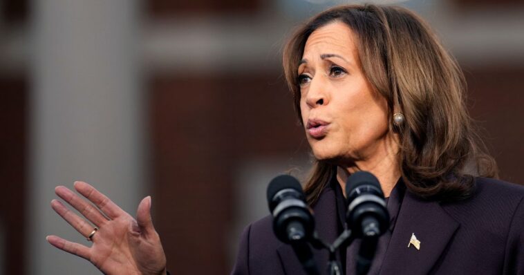 kamala-harris-lays-out-2028-agenda:-pack-supreme-court,-eliminate-electoral-college,-add-states,-give-dems-permanent-edge-in-congress