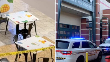 harrowing-video-shows-chaos-as-teen-shooter-opens-fire-in-crowded-maryland-mall,-injuring-boy