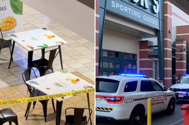 harrowing-video-shows-chaos-as-teen-shooter-opens-fire-in-crowded-maryland-mall,-injuring-boy