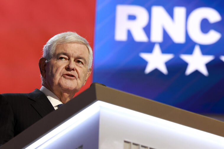 newt-gingrich-details-plan-for-senators-to-win-big-in-november:-exploit-‘weird’-socialist-values