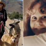 shocking-discovery-after-‘exorcist’-star’s-california-home-swarmed-by-police