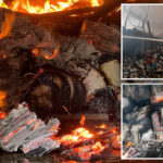 millions-of-ukrainian-books-incinerated-in-russian-drone-strike-—-as-vladimir-putin-looks-to-wipe-out-ukraine’s-culture,-identity