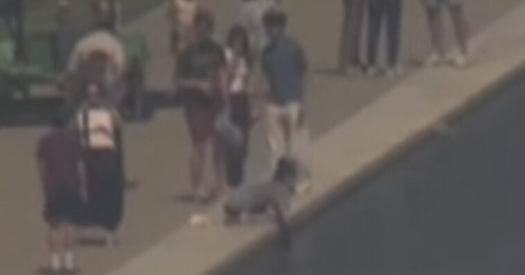 (video)-trump-posts-more-footage-of-reflecting-pool-vandalism-after-pirro-flop:-“look-for-yourselves-at-the-vandalism”-–-burgum-also-slams-us-attorney