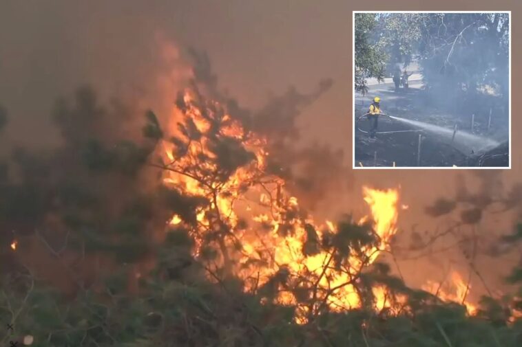 homeless-madman-busted-for-sparking-california-wine-country-wildfire-as-police-probe-arson-scourge